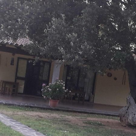 Villa Agriturismo La Tuva à Padru Extérieur photo