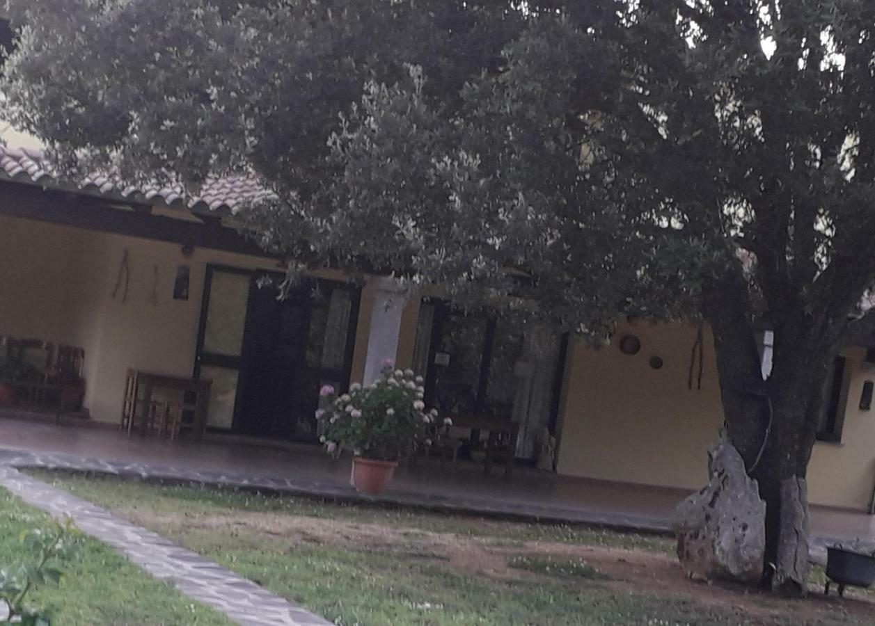 Villa Agriturismo La Tuva à Padru Extérieur photo